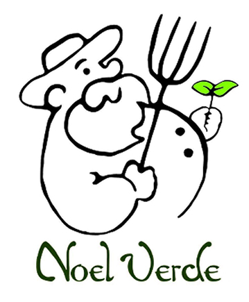Noel Verde