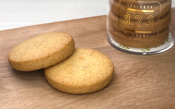 mtm-008